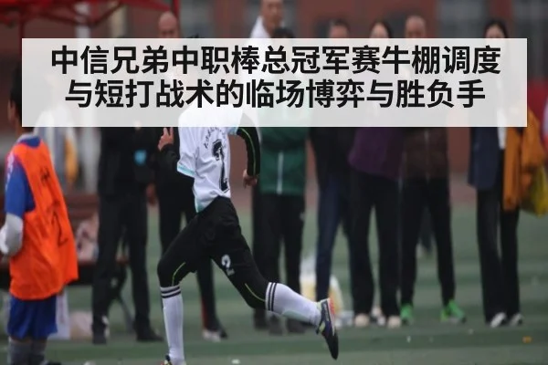 中信兄弟中职棒总冠军赛牛棚调度与短打战术的临场博弈与胜负手 | Kaiyun